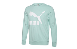 PUMA: Зелёная толстовка 