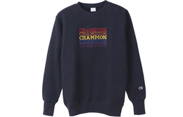 Champion: Тёмная толстовка 