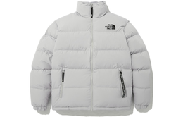 The North Face: Серый пуховик  1996