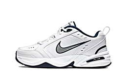 Nike: Голубые кроссовки  Air Monarch