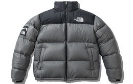 The North Face: Серый пуховик  1996