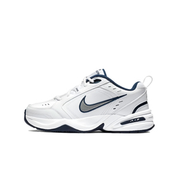 Nike: Голубые кроссовки  Air Monarch