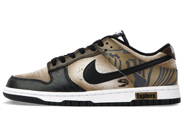 Nike: Коричневые кроссовки  Dunk