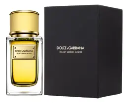 Dolce&Gabbana: Духи  Velvet