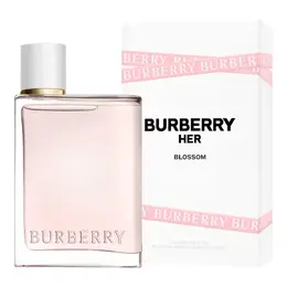 Burberry: Духи 