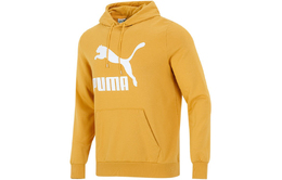 PUMA: Золотая толстовка 