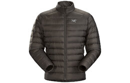 Arcteryx: Серый пуховик 