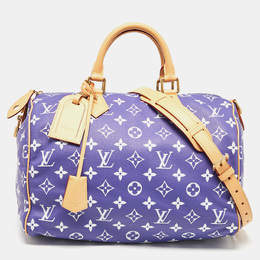 Louis Vuitton: Фиолетовая сумка  Speedy