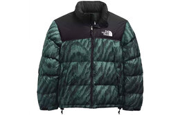 The North Face: Зелёный пуховик  1996