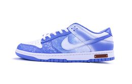 Nike: Синие кроссовки  Dunk