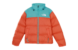 The North Face: Синий пуховик  1996