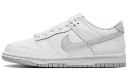 Nike: Голубые кроссовки  Dunk