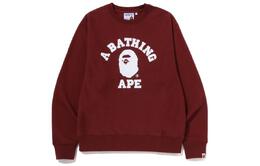 A BATHING APE: Тёмная толстовка 