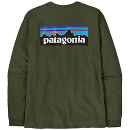 Patagonia: Зелёная футболка 