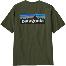 Patagonia: Зелёная футболка 