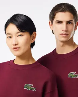 Lacoste: Бордовая толстовка 