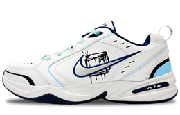 Nike: Белые кроссовки  Air Monarch