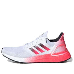 Adidas: Белые кроссовки 