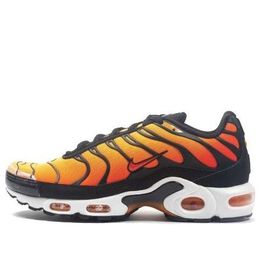 Nike: Чёрные кроссовки  Air Max Plus