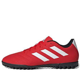 Adidas: Красные кроссовки 