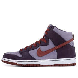 Nike: Фиолетовые кроссовки  SB Dunk High Premium