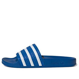 Adidas: Синие кроссовки  Adilette