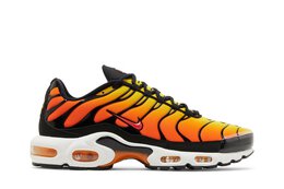 Nike: Кроссовки  Air Max Plus