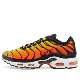 Nike: Чёрные кроссовки  Air Max Plus