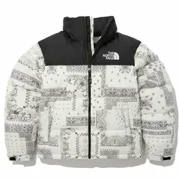 The North Face: Чёрный пуховик  Novelty Nuptse