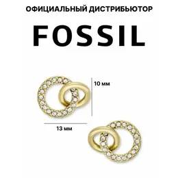 FOSSIL: Серьги 