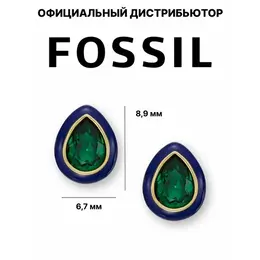 FOSSIL: Серьги 