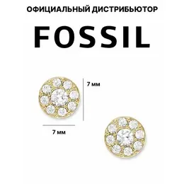 FOSSIL: Серьги 