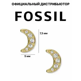 FOSSIL: Серьги 