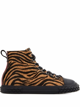 Giuseppe Zanotti: Коричневые кеды  Blabber