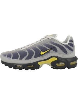 Nike: Серебристые кроссовки  Air Max Plus