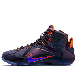 Nike: Фиолетовые кроссовки  Lebron 12