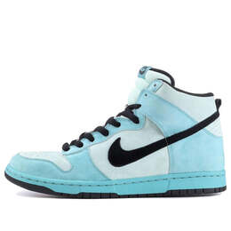 Nike: Синие кроссовки  SB Dunk