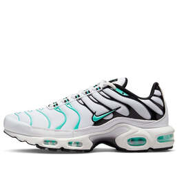 Nike: Белые кроссовки  Air Max Plus