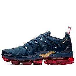 Nike: Синие кроссовки  Air Vapormax Plus