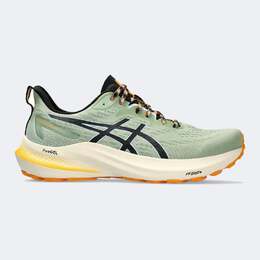 Asics: Многоцветные кроссовки  GT-1000