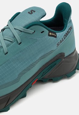 Salomon: Синие кроссовки 