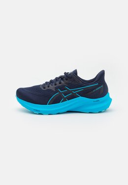 Asics: Кроссовки  GT-2000