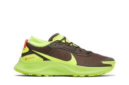 Nike: Коричневые кроссовки  Pegasus Trail 3