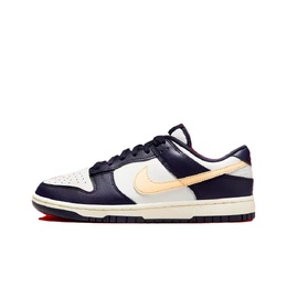 Nike: Голубые кроссовки  Dunk