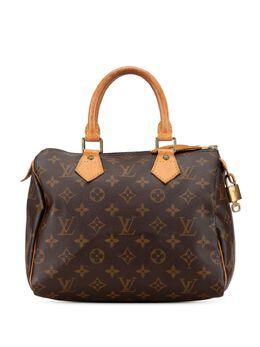 Louis Vuitton Pre-Owned: Коричневая сумка 