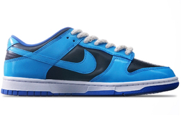 Nike: Голубые кроссовки  Dunk