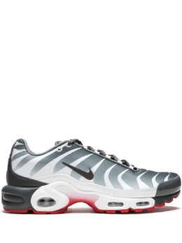 Nike: Серые кроссовки  Air Max Plus