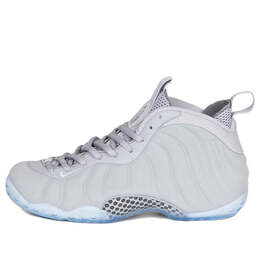 Nike: Серые кроссовки  Air Foamposite One PRM