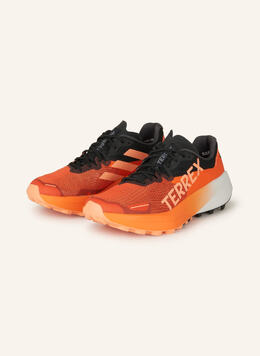 Adidas: Кроссовки  Terrex