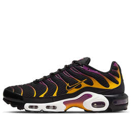 Nike: Чёрные кроссовки  Air Max Plus